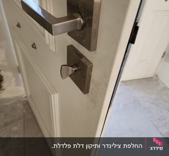 צילינדר פרפר וידית מעוצבת המותקנים על דלת כניסה